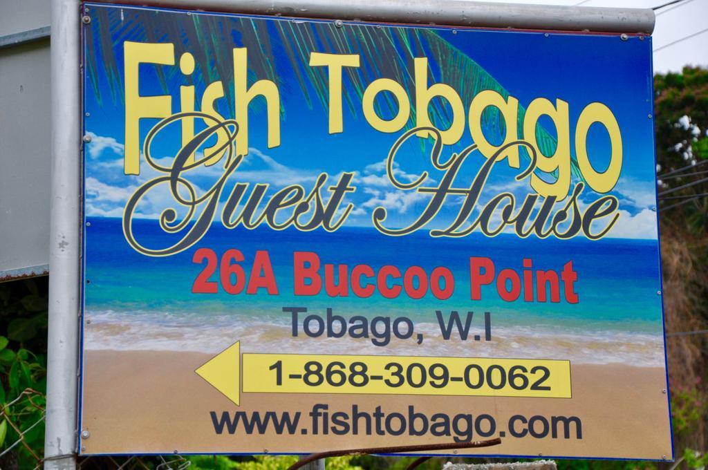 Fish Tobago Guesthouse Buccoo Exteriér fotografie